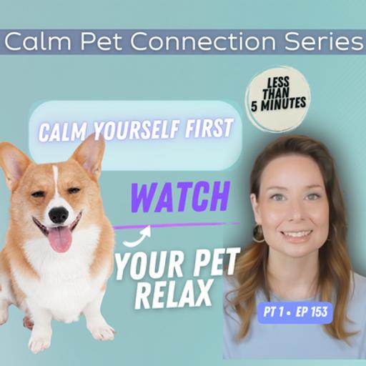 Calm Yourself With This — Then Watch Your Pet Relax | Ep 153