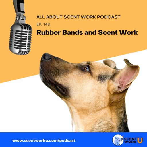 Rubber Bands and Scent Work