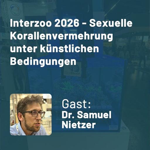 453: Interzoo 2026 - Sexuelle Korallenvermehrung unter künstlichen Bedingungen (Dr. Samuel Nietzer)