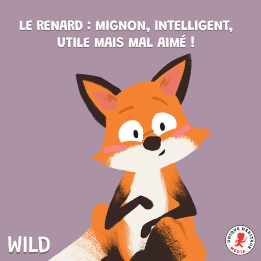 Le renard : mignon, intelligent, utile mais mal aimé ! (1/2)