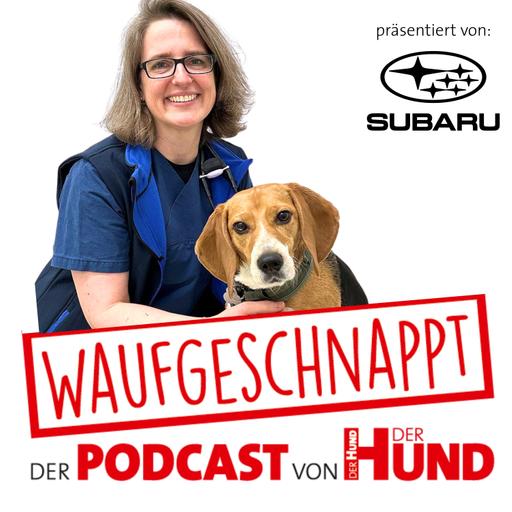 Das kann die Verhaltensmedizin - Claudia Richter