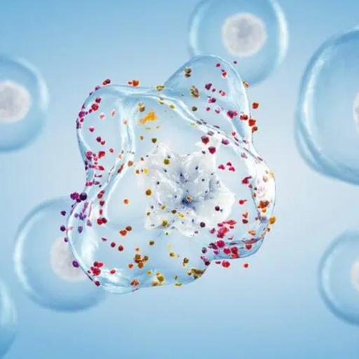 Audio Article: Senescence - How Cellular Aging May Influence Periodontal Disease