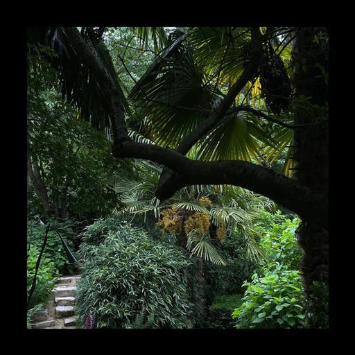 Servizio pubblico: mettete ombra nei vostri giardini
