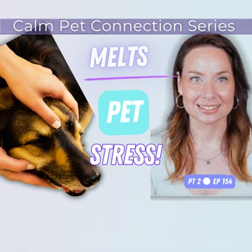 Fix Your Pet's Anxiety - 3 Top Animal Acupressure & Massage Tips | Ep 154