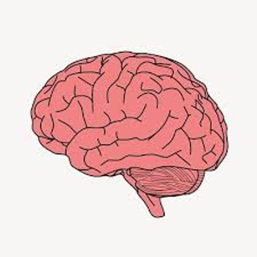 #228 - Central Neural Drive and Breathing in Down Syndrome