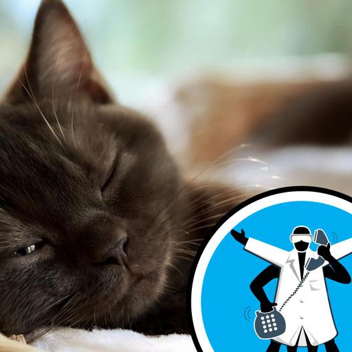 How do cats sustain a purr-fect purr?