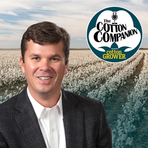 Uncle Sam Takes Aim at Building Cotton Demand