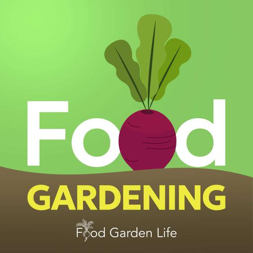 What to Plant After Garlic and Peas: Succession Crops for Summer and Fall