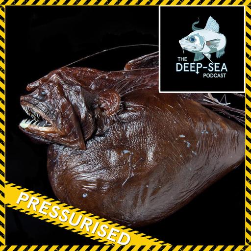 PRESSURISED: 069 – The Anglerfish Files