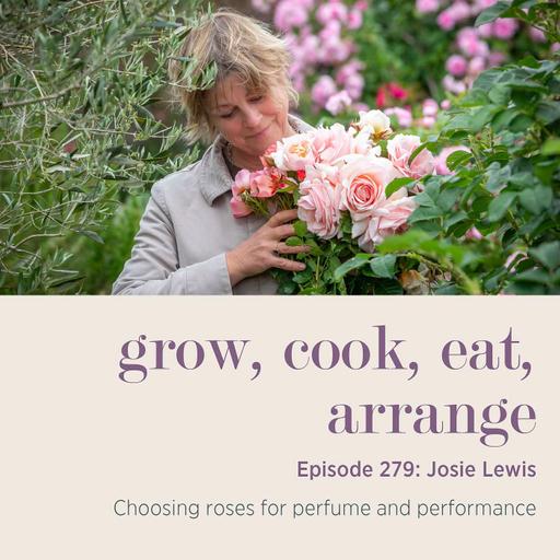 Josie Lewis: Choosing roses for perfume and performance - Episode 279