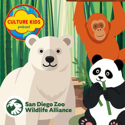 Meet Polar Bears, Pandas & Orangutans! A Wild Animal Adventure for Kids