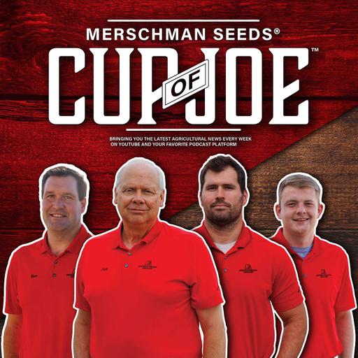 New Merschman Corn Hybrids Available in 2027