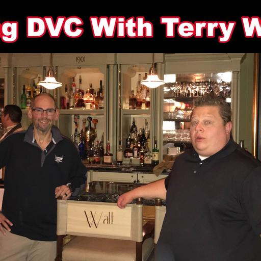 Talking DVC With Terry Weaver