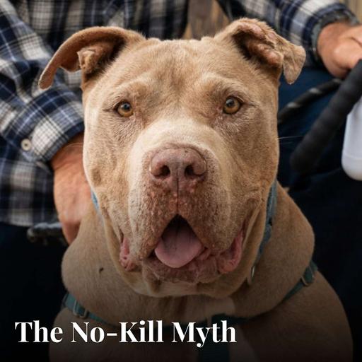 The No-Kill Myth
