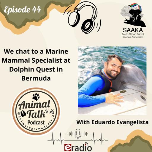 Episode 44 "Dolphin Quest in Bermuda" with Eduardo Evangelista
