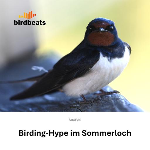 Birding-Hype im Sommerloch