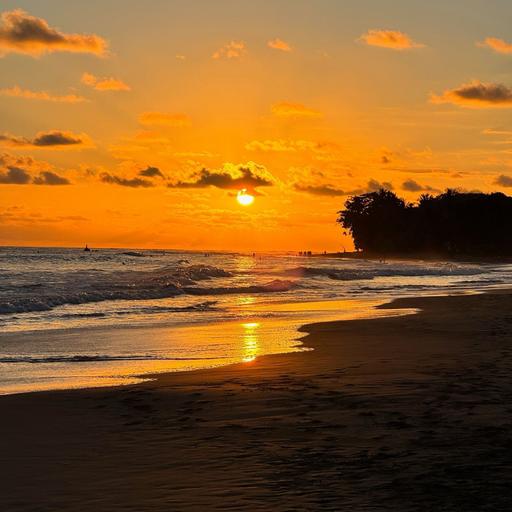 The Hidden Tropical Bay | A Sleep Story for Deep Sleep & Escape