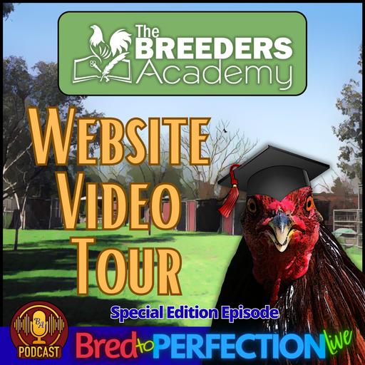 Ep225 - Building Better Bloodlines: An Inside Look at the Breeders Academy