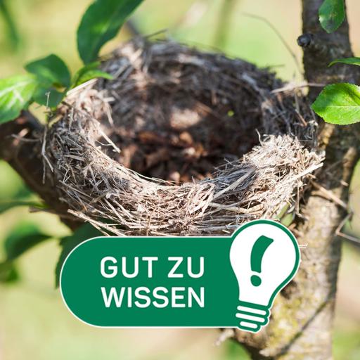 Das ändert sich für Eltern, wenn der Nachwuchs aus dem Haus ist