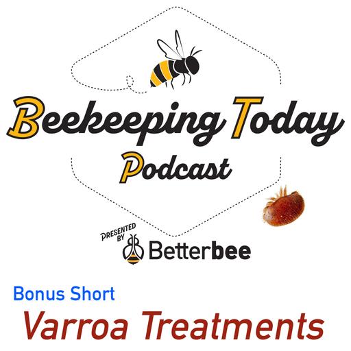 Varroa Management Guide Update: What Beekeepers Need to Know