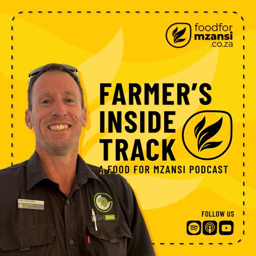 Understanding modern growing media in agriculture