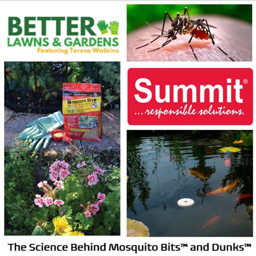 S2 Ep457: Better Lawns and Gardens - Hour 2 The Science Behind Mosquito Bits June 13, 2026