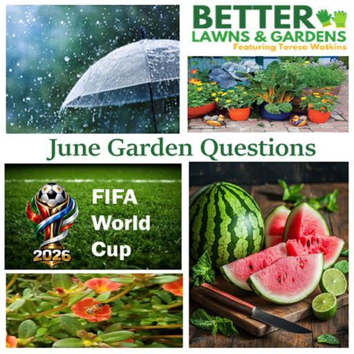 S2 Ep456: Better Lawns and Gardens - Hour 1 June Gardening Questions June 13, 2026