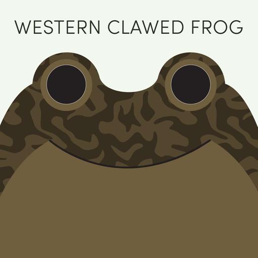 Western Clawed Frog | Week of June 22nd