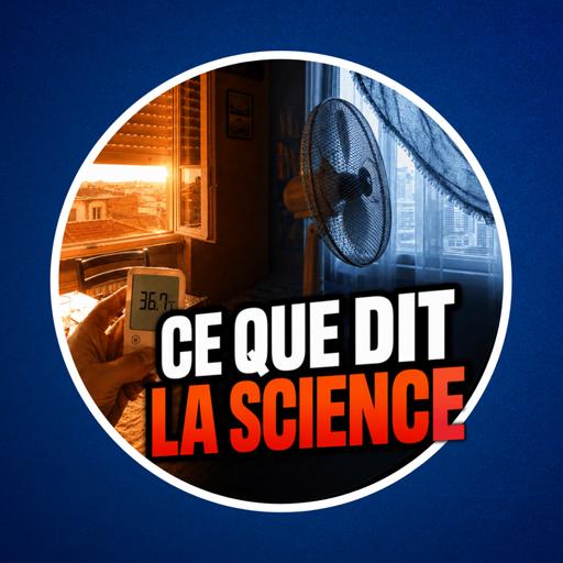 Canicule : Comment refroidir son logement sans clim ? 🥵