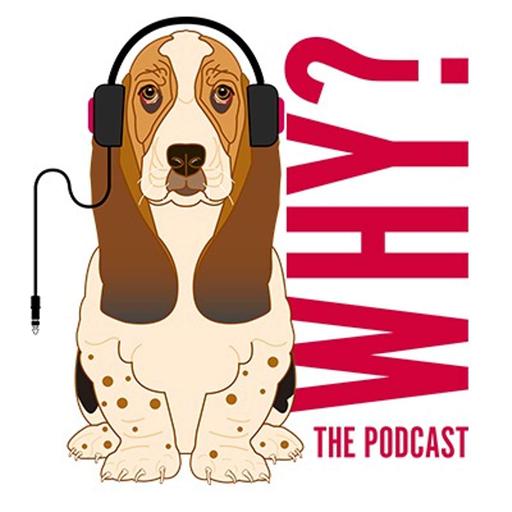 Why? Episode 410- Sly and the Family Stone's Jerry Martini