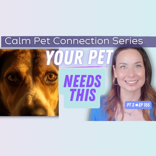 Try This Easy Reset For Deeper Animal Communication! | Ep 155
