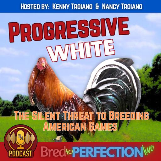Ep295 - Progressive White - The Silent Threat to Breeding American Games
