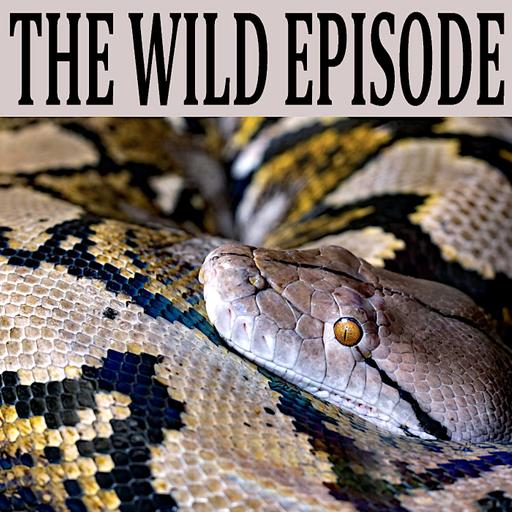 Reticulated Python : The Killing Mechanism