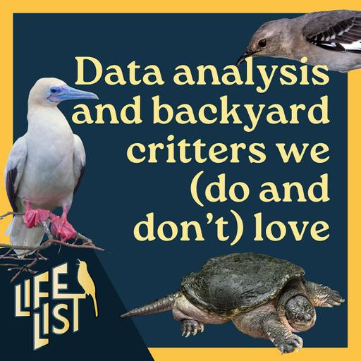 Interpreting migration data, cataloging our backyards, and El Niño predictions