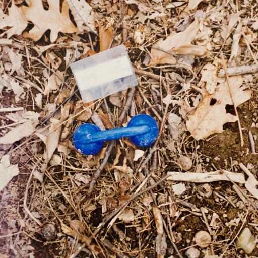 S8 Ep7: S8, The State v. Patricia Rorrer - Episode 4 - Killing Field