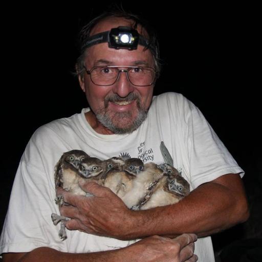 Remembering David Johnson and the burrowing owls he loved
