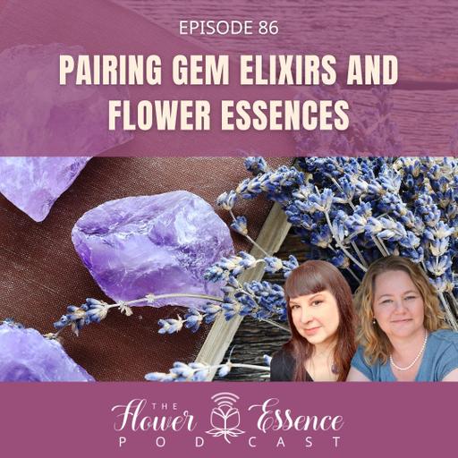 FEP86 Pairing Gem Elixirs and Flower Essences