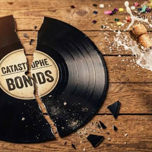 204: The catastrophe bond market records broken in 2025