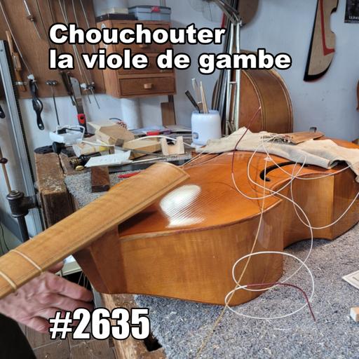 Chouchouter la viole de gambe (Caring for French Viola da Gamba)