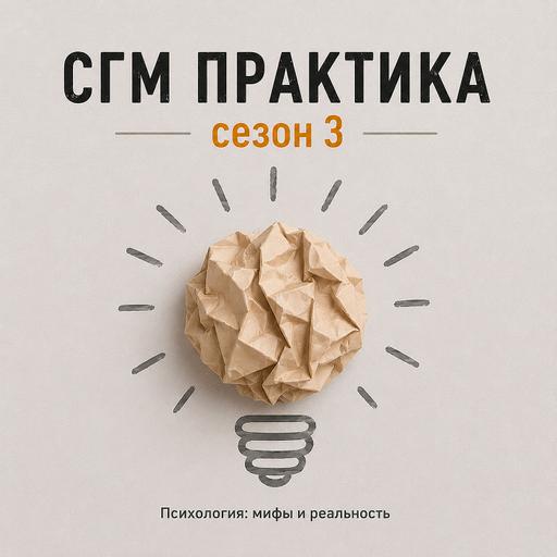 СГМ практика сезон 3 Общительный кейс