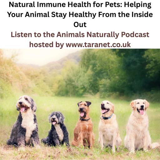 Natural Immune Health for Pets: Helping Your Animal Stay Healthy From the Inside Out