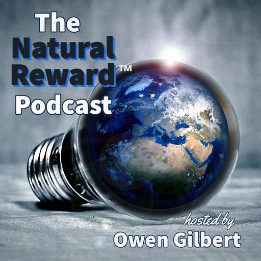 The Blind Entrepreneur: How Natural Reward Scales Life’s Greatest Inventions