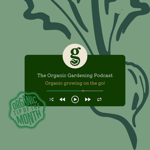 S5 Ep13: January - Our Guests’ Top Organic Gardening Tips of 2025
