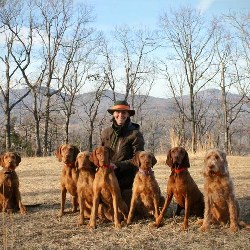 E 282. "Take care of the dogs..."