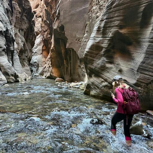 #176: The Zion Narrows Revisited