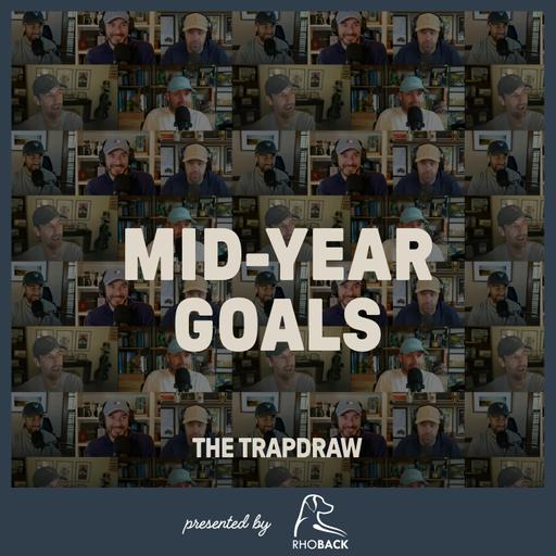 401: Mid-Year Goals