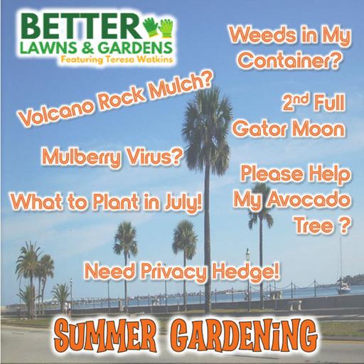 S2 Ep460: Better Lawns and Gardens - Hour 1 Summer Gardening June 27, 2026