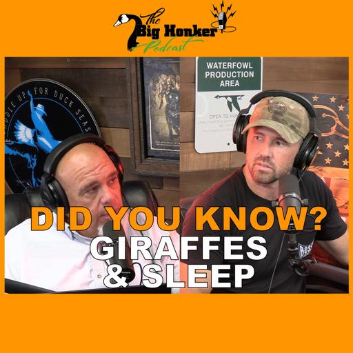 🚨 DID YOU KNOW? 🚨Giraffes & Sleep