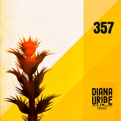 ¿Dónde está la Franja Amarilla? 30 años después