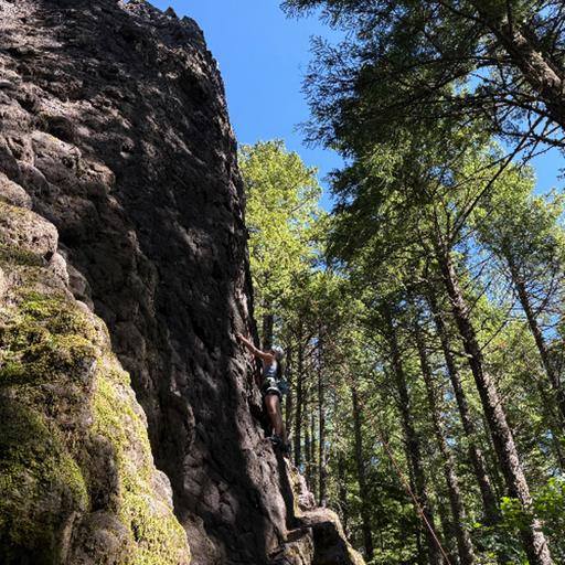 Why the shady forest of French's Dome is ideal for beginner rock climbers